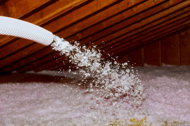 Best Blown-in Insulation  in Newark, DE