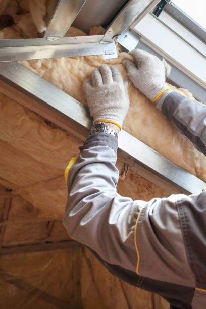 Best Insulation for New Construction  in Newark, DE
